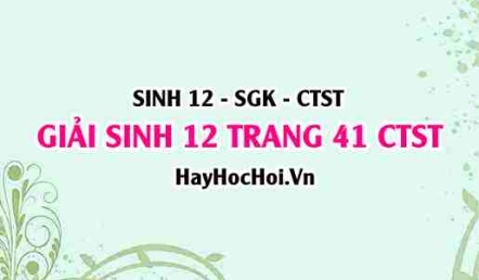 Giải Sinh 12 trang 41 Chân trời sáng tạo SGK